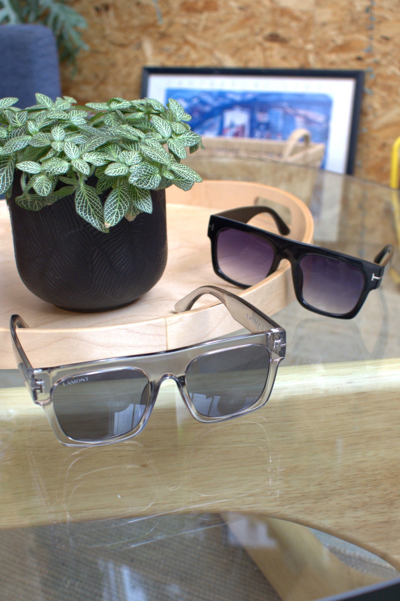 ELYSIUM SUNGLASSES